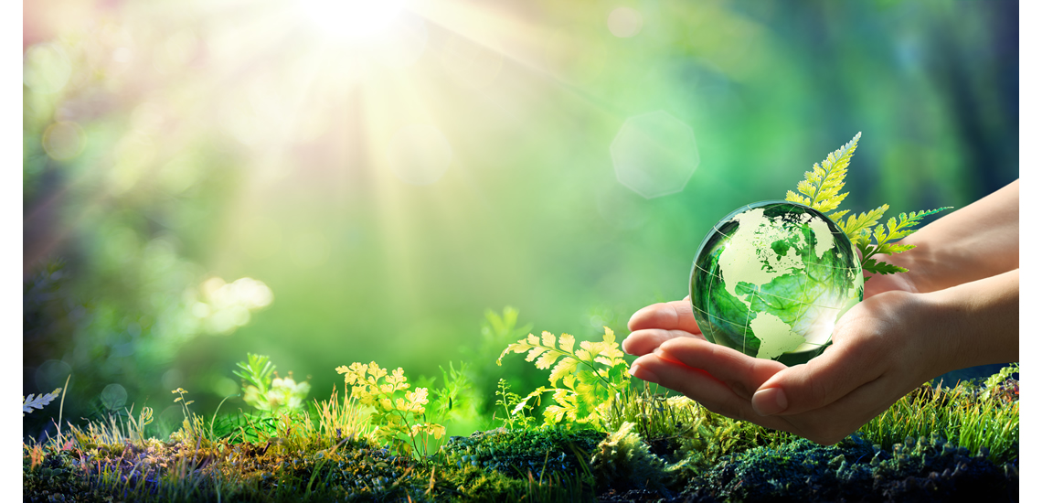 Green Initiatives Hurt the Poorest