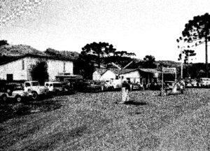 Vipal Beginnings